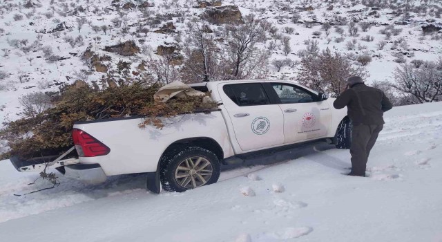 Adıyamanda doğaya yem bırakıldı