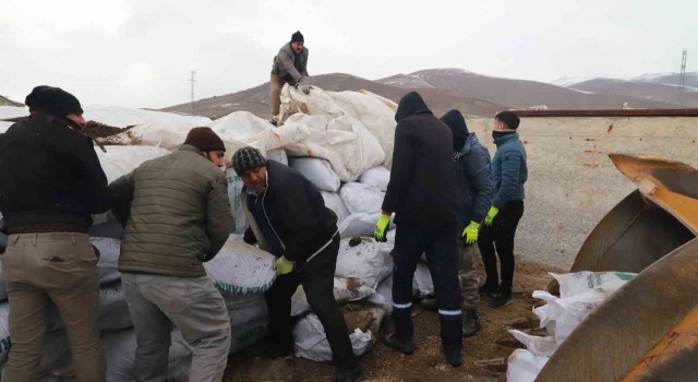 Ağrıdan deprem bölgesine mısır silajları gönderildi