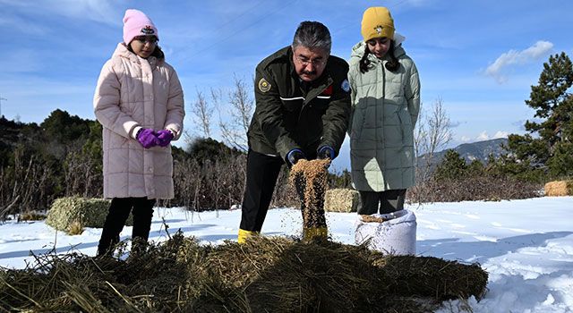 Amanoslar’da yaban hayvanlarına yem bırakıldı