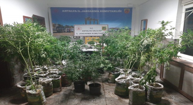 Antalyada 27 kilogram esrar ele geçirildi