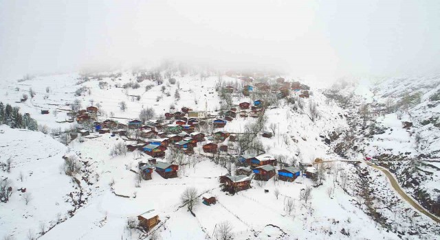Artvinde çığ altında kalan bir kişi kurtarıldı