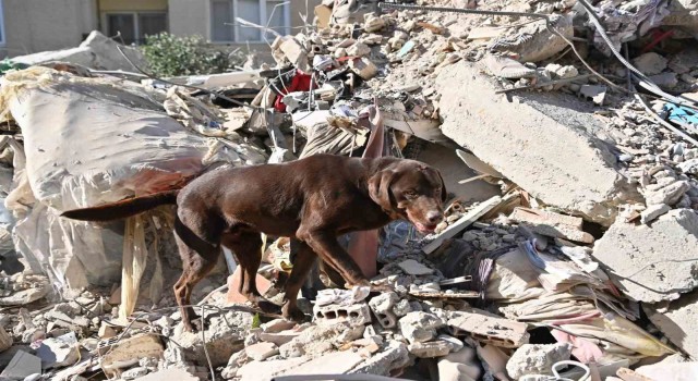 ‘Ateş yürek ısıtmak için çalışıyor