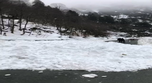Ayder Yaylası yolunda çığ yolu ulaşıma kapattı