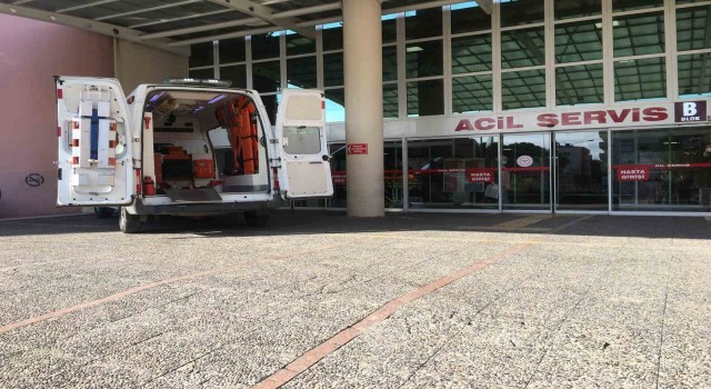 Aydında dehşete düşüren görüntüler