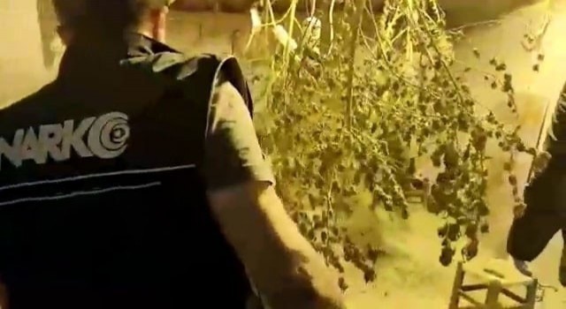 Aydında uyuşturucu satıcısı tutuklandı