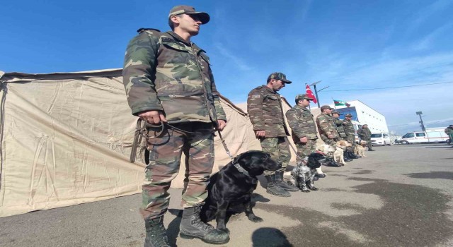 Azerbaycanın hassas burunlu arama kurtarma köpekleri deprem bölgesinde