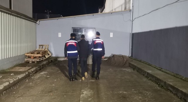 Bandırmada yazlık evlere dadanan 1 kişi tutuklandı