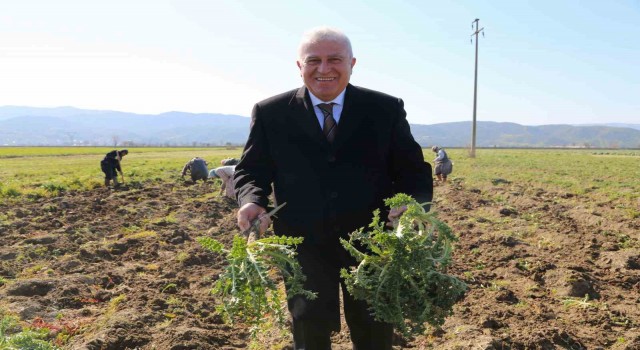 Başkan Atay, Efelerde tarıma değer katıyor