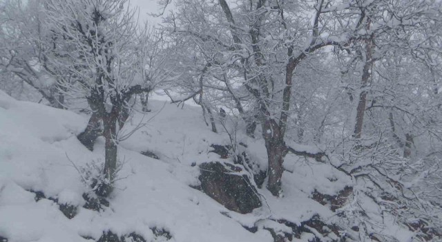 Batmanda kar kalınlığı 80 santimi geçti, 50 yerleşim yeri yolu ulaşıma kapandı