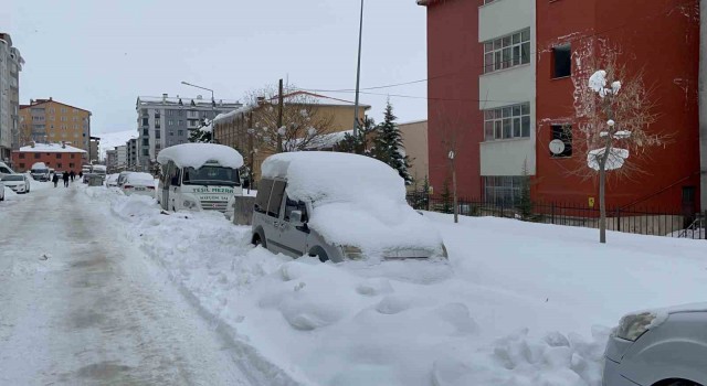 Bitliste kar esareti devam ediyor