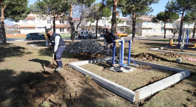 Burhaniyede Talip Apaydın Çamlığı yenileniyor