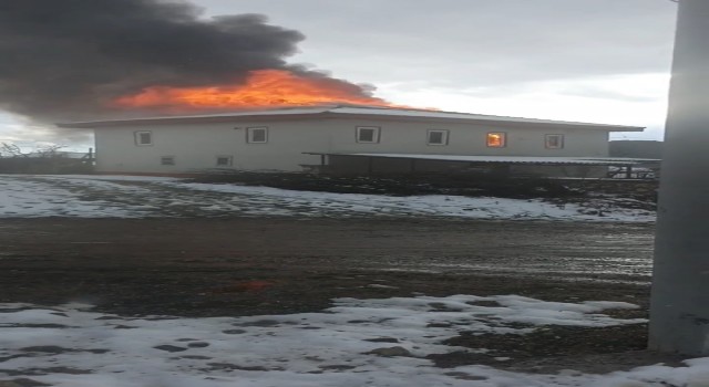 Bursada iki katlı ev, alev alev yandı