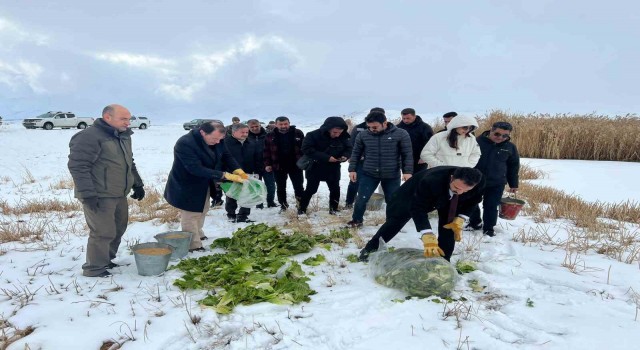 Çaldıranda yaban hayvanları için yemleme çalışması yapıldı