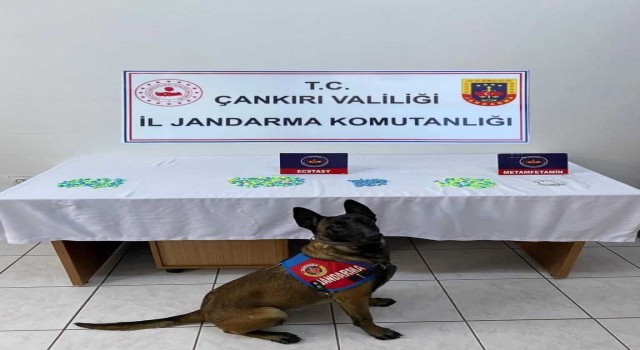 Çankırıda uyuşturucu operasyonunda bir şahıs tutuklandı