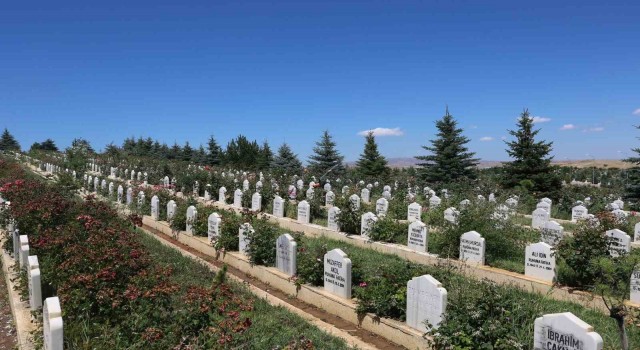 Covid-19 Sivasta 809 Can Aldı