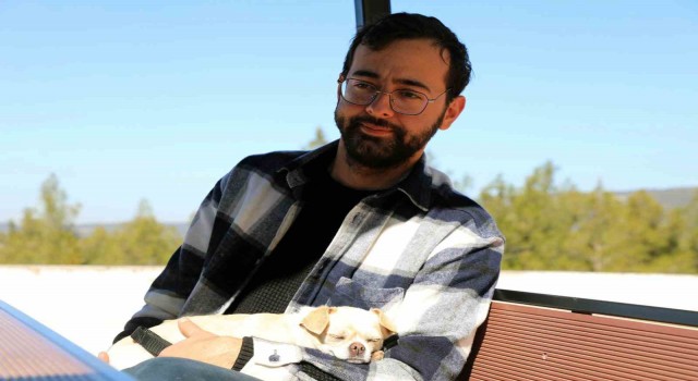 Deprem bölgesinden getirilen köpek sağlığına kavuşturuldu