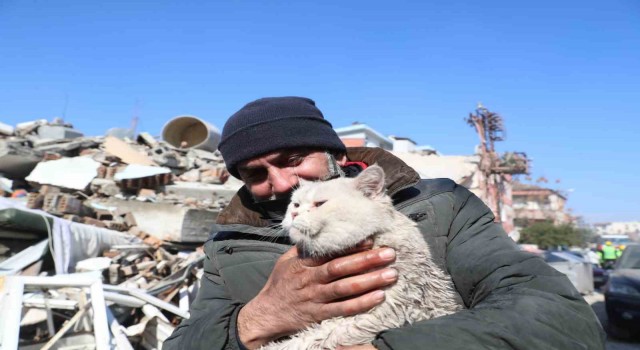 Depremde kaybolan kedisine 5 gün sonra kavuştu, bulan kişinin verdiği cevapla bir kez daha mutlu oldu