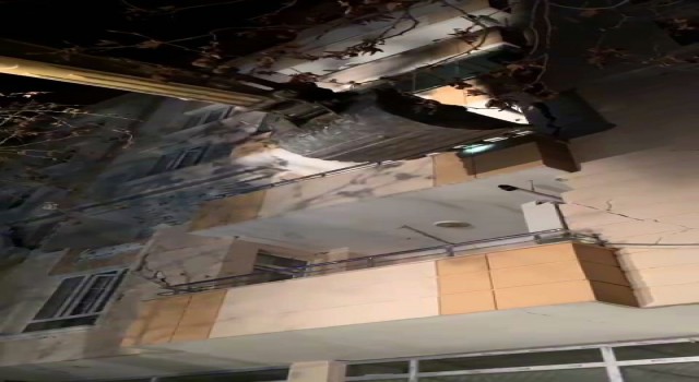 Depremden hasar gören apartmandan kedi kurtarıldı