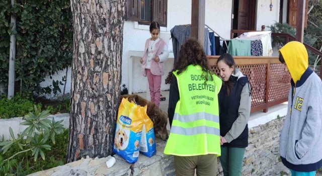 Depremden kurtulan Egenin hayvan sevgisi