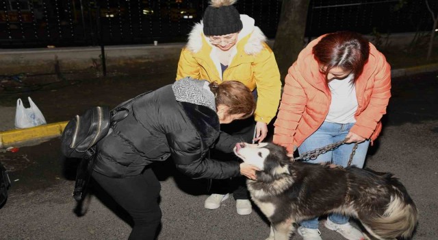 Depremzede köpek Bella İstanbulda yeni ailesine kavuştu