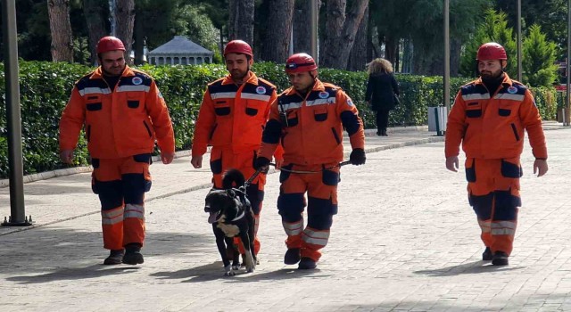 Depremzede köpek ‘Hayat, yeni hayatlar kurtaracak