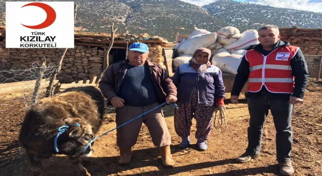 Depremzedelere büyükbaş hayvanını bağışladı