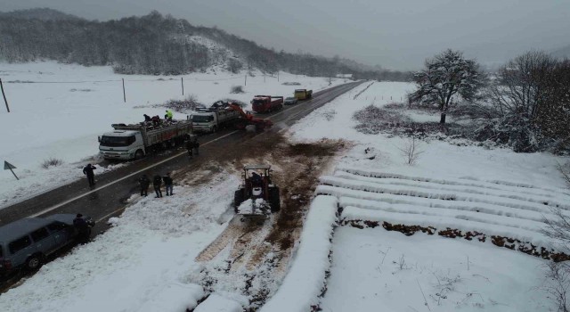 Depremzedeleri Bartın ormanlarından tedarik edilen odunlar ısıtacak