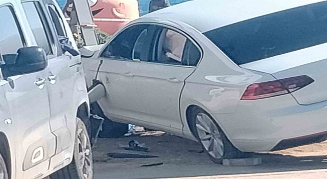 Didimde akılalmaz saldırı