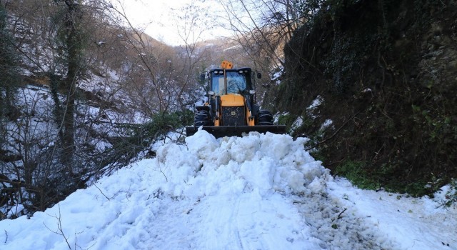 Doğu Karadenizde kar nedeniyle kapalı 110 köy yolu bulunuyor