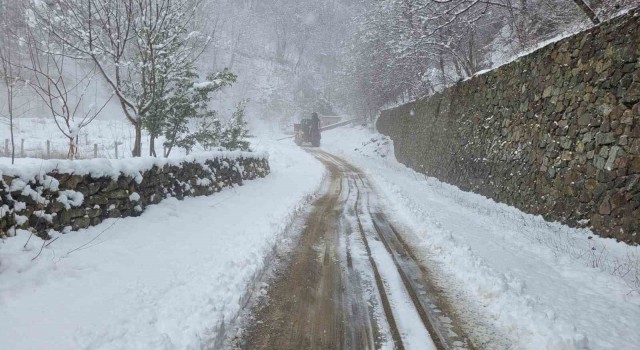 Doğu Karadenizde kar yağışı nedeniyle 195 köy ve mahalle yolu ulaşıma kapandı