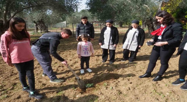 Edremitte depremzedeler, konakladıkları otelin bahçesine zeytin fidanı dikti
