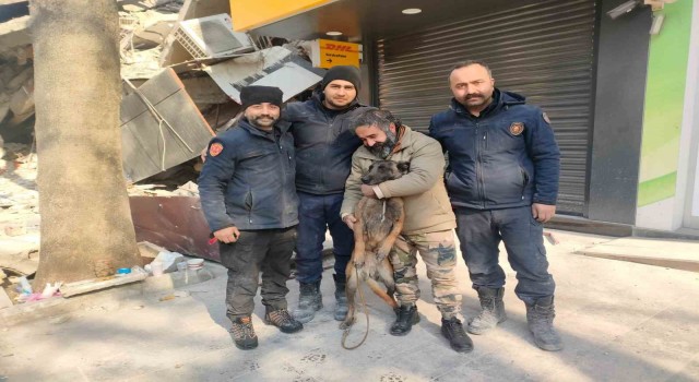 Enkaz altındaki vatandaşların umudu hassas burunlar: “Rüzgar ve Çakıl”