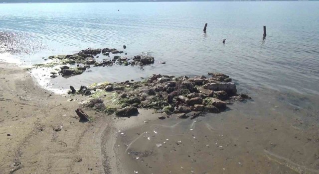 Erdekte deniz çekildi, antik liman ortaya çıktı