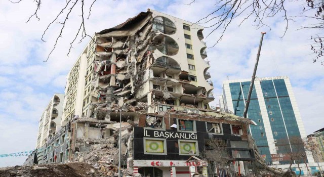 Galeria İş Merkezinden kurtarılan 7 kediden 6sı sahibine teslim edildi