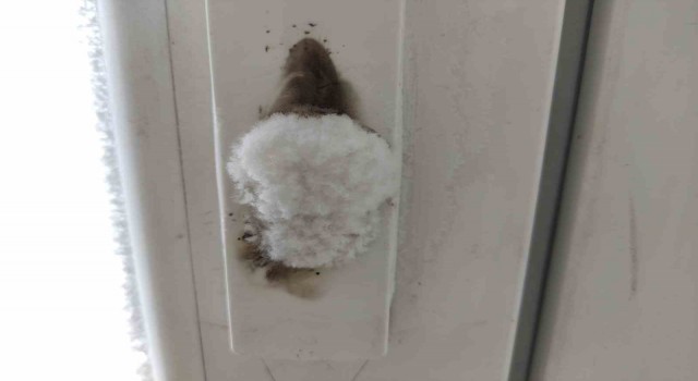 Gölede dondurucu soğuklar hüküm sürüyor, kapı kilitleri bile buz tuttu