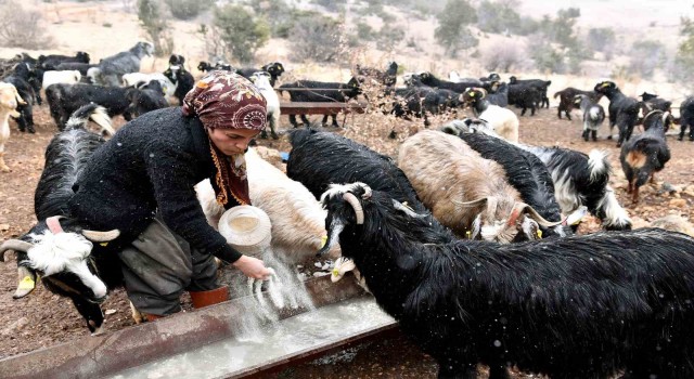 Hadi Gel Köyümüze Destek Verelim projesi ile üretici oldu