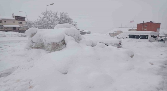Hakkaride 100 köy ve 194 mezra yolu kapandı