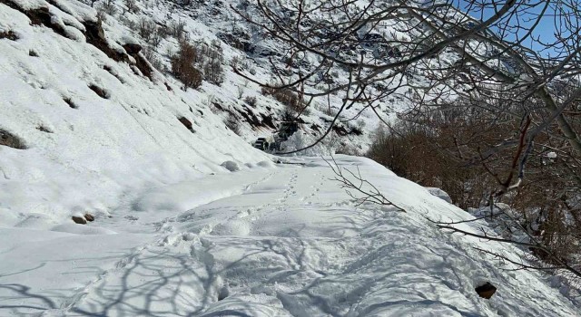 Hakkaride 13 yerleşim yerinin yolu kapandı