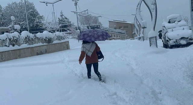 Hakkaride 365 yerleşim yerinin yolu ulaşıma kapandı