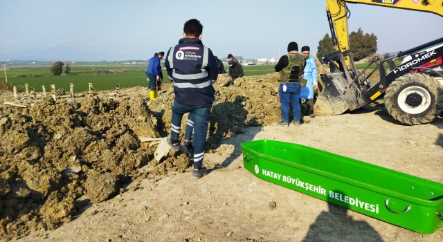 Hatayda cenazeler defnediliyor