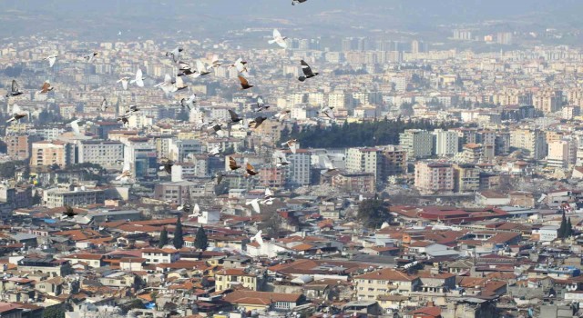 Hatayda depremin bıraktığı enkaz havadan görüntülendi