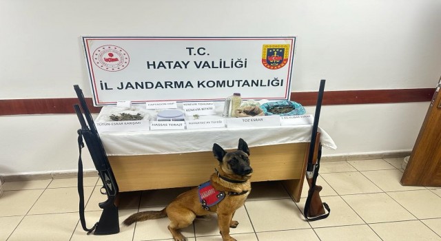 Hatayda uyuşturucu operasyonu