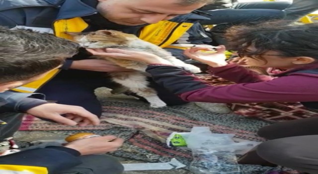 Hatayda yürekleri ısıtan görüntüler