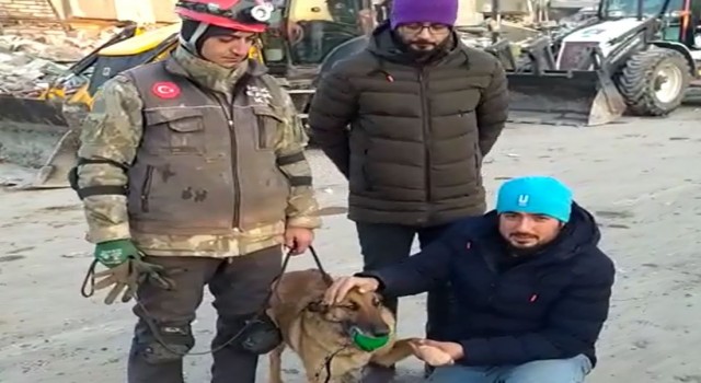 Hayat kurtarırken yaralanan hassas burun Sıla tekrar görev başında