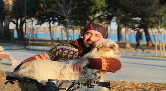 İşletmesinin maskotu kayıp keçisine kavuşunca büyük mutluluk yaşadı