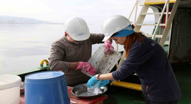 İzmit Körfezinde dip çamuru temizliği öncesinde biyoçeşitlilik tespiti