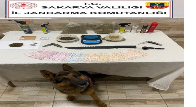 Jandarma ekipleri uyuşturucuya geçit vermiyor
