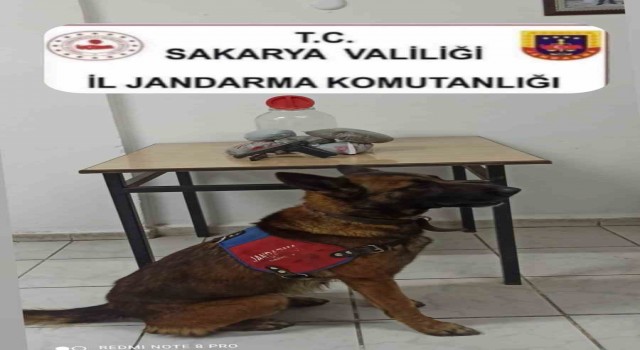 Jandarmadan uyuşturucu operasyonu: 1 gözaltı