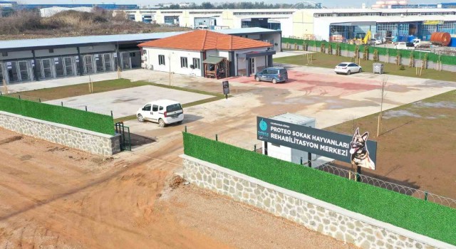 Kahraman köpek Proteonun adı Kocaelide yaşatılacak