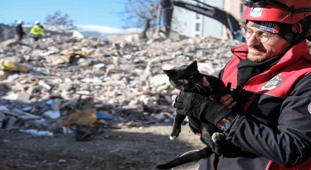 Kahramanmaraşta 174 saat sonra enkazdan ‘Ardıç isimli kedi kurtarıldı